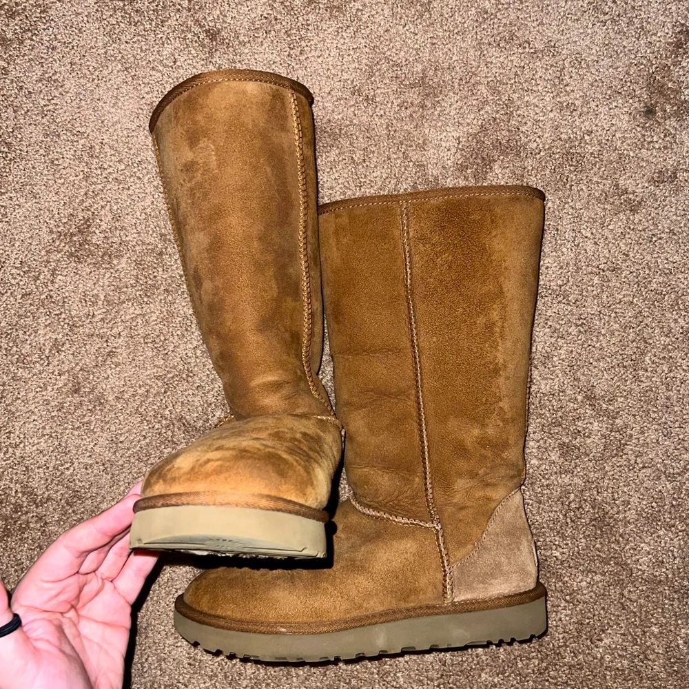 Chestnut tall uggs